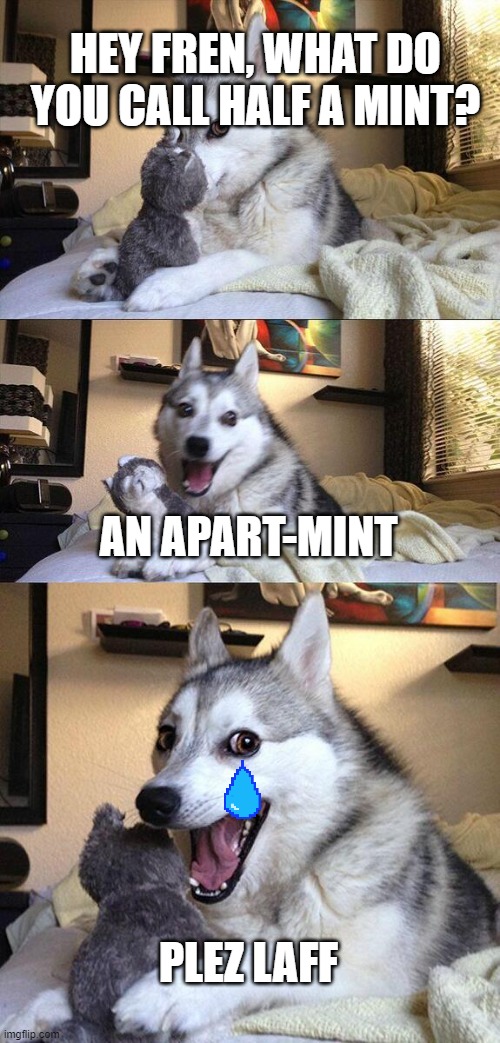 Bad punny | HEY FREN, WHAT DO YOU CALL HALF A MINT? AN APART-MINT; PLEZ LAFF | image tagged in memes,bad pun dog | made w/ Imgflip meme maker
