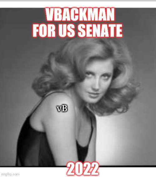 VBACKMAN FOR US SENATE; vB; 2022 | image tagged in senators,awesomeness | made w/ Imgflip meme maker