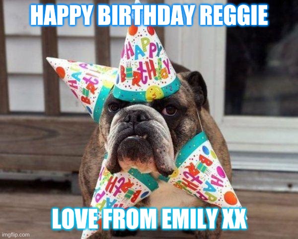 Emily | HAPPY BIRTHDAY REGGIE; LOVE FROM EMILY XX | image tagged in bulldog bday | made w/ Imgflip meme maker