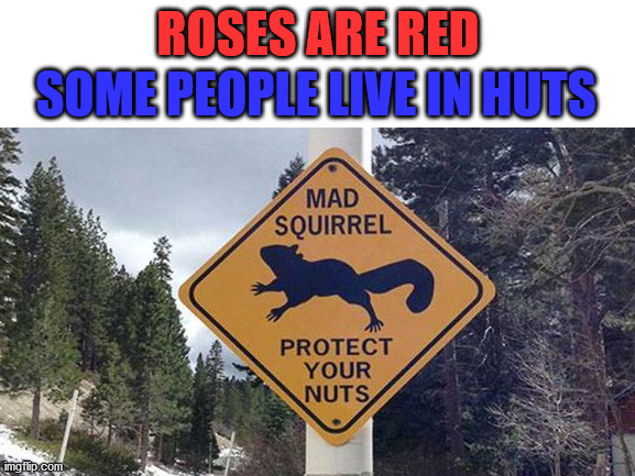 Oof... yeah... | SOME PEOPLE LIVE IN HUTS; ROSES ARE RED | image tagged in fun,roses are red | made w/ Imgflip meme maker