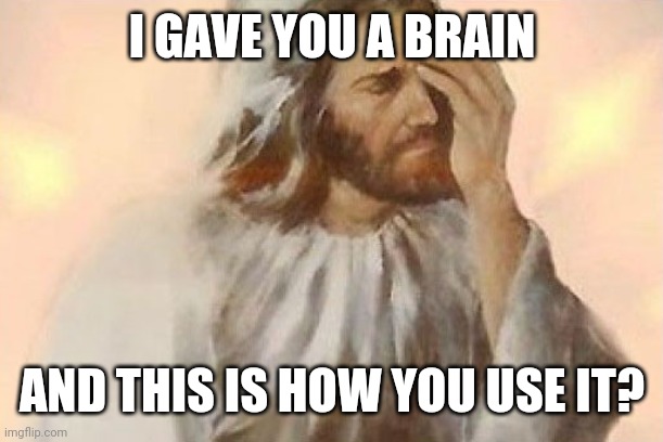 Jesus Facepalm - Brain | I GAVE YOU A BRAIN; AND THIS IS HOW YOU USE IT? | image tagged in jesus facepalm | made w/ Imgflip meme maker