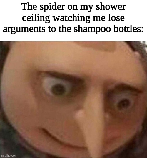 gru meme | The spider on my shower ceiling watching me lose arguments to the shampoo bottles: | image tagged in gru meme,memes,funny,spider,arguments,shampoo | made w/ Imgflip meme maker