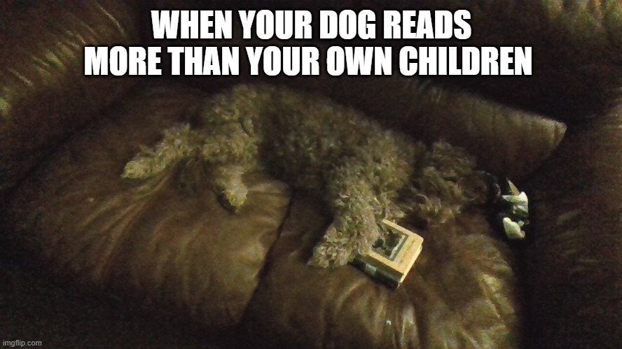 Reading Dog | WHEN YOUR DOG READS MORE THAN YOUR OWN CHILDREN | image tagged in dog | made w/ Imgflip meme maker