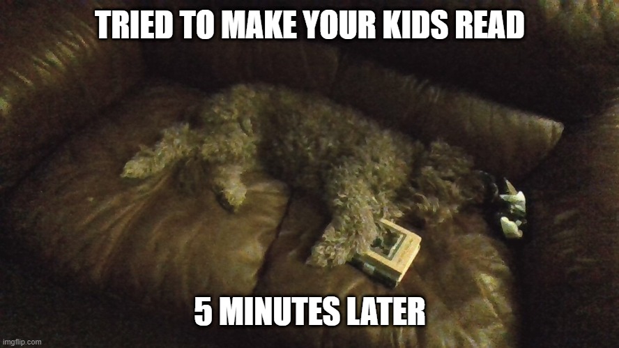 Dog reading | TRIED TO MAKE YOUR KIDS READ; 5 MINUTES LATER | image tagged in dog | made w/ Imgflip meme maker