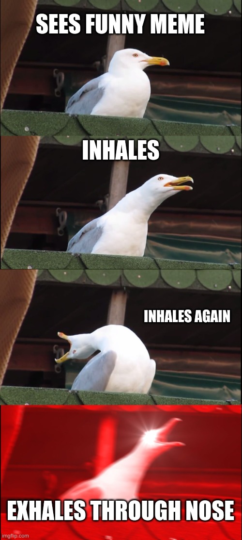 Inhaling Seagull Meme | SEES FUNNY MEME; INHALES; INHALES AGAIN; EXHALES THROUGH NOSE | image tagged in memes,inhaling seagull | made w/ Imgflip meme maker