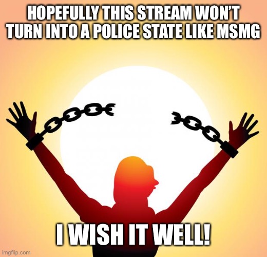 Sure do | HOPEFULLY THIS STREAM WON’T TURN INTO A POLICE STATE LIKE MSMG; I WISH IT WELL! | image tagged in freedom,still,homophobic | made w/ Imgflip meme maker