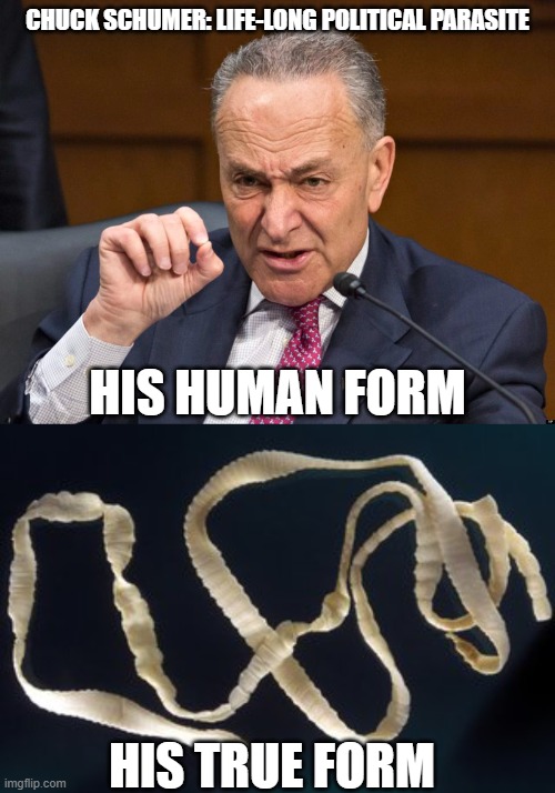 Uncle Sam's Tapeworm | CHUCK SCHUMER: LIFE-LONG POLITICAL PARASITE; HIS HUMAN FORM; HIS TRUE FORM | image tagged in chuck schumer,parasite | made w/ Imgflip meme maker