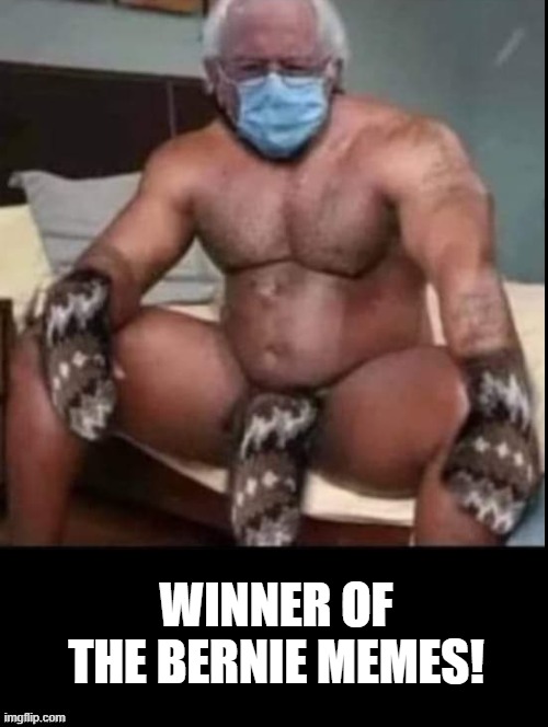 Winner of The Bernie MEME WAR! | WINNER OF THE BERNIE MEMES! | image tagged in bernie sanders | made w/ Imgflip meme maker