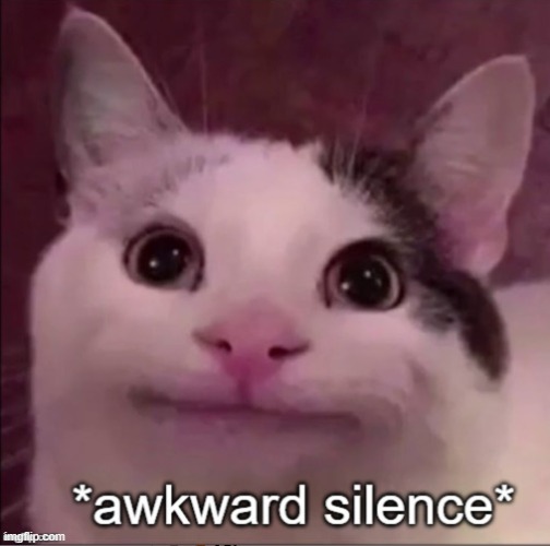 Awkward silence cat | image tagged in awkward silence cat | made w/ Imgflip meme maker