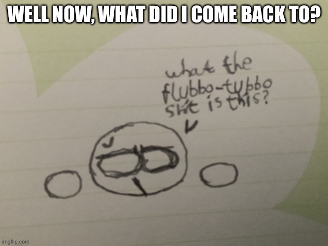 Flubbo-Tubbo | WELL NOW, WHAT DID I COME BACK TO? | image tagged in flubbo-tubbo | made w/ Imgflip meme maker