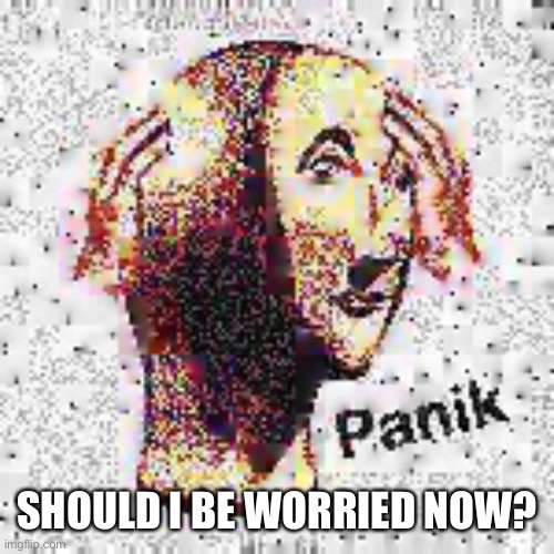 Panik Deep Fried | SHOULD I BE WORRIED NOW? | image tagged in panik deep fried | made w/ Imgflip meme maker