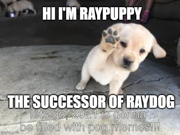 *Barks* HI, IM RAYPUPPY!!! | HI I'M RAYPUPPY; THE SUCCESSOR OF RAYDOG; lets go, 2021 is gonna  be filled with pog memes!!! | image tagged in raydog,funny | made w/ Imgflip meme maker