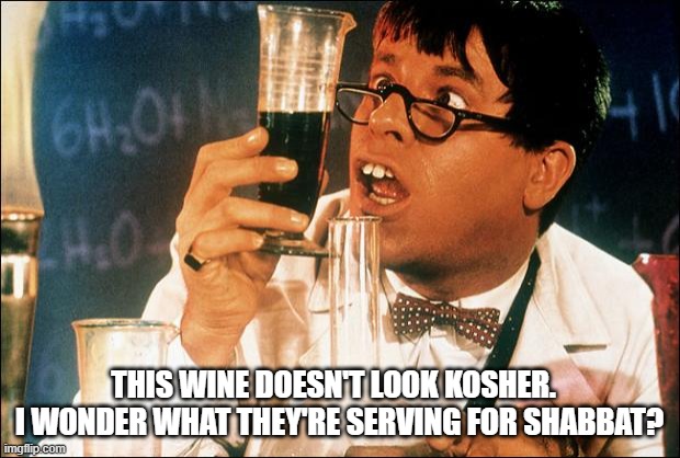 Nutty Professor's Shabbat | THIS WINE DOESN'T LOOK KOSHER.  
I WONDER WHAT THEY'RE SERVING FOR SHABBAT? | image tagged in jerry lewis nutty professor,jerry lewis,shabbat | made w/ Imgflip meme maker