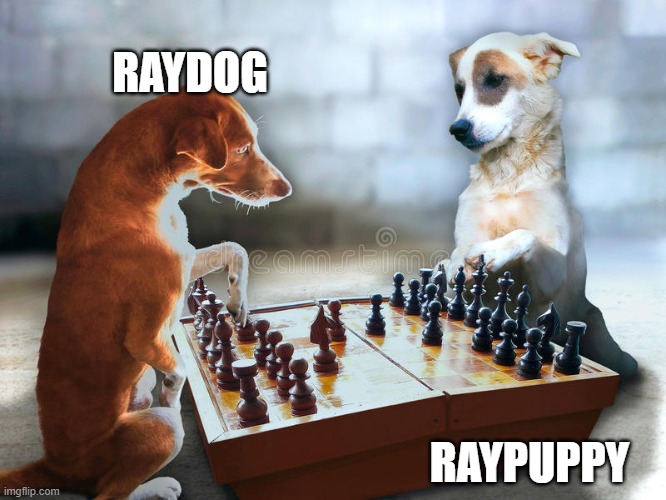 raydog and raypuppy play chess | RAYDOG; RAYPUPPY | image tagged in memes,funny,jeffy | made w/ Imgflip meme maker