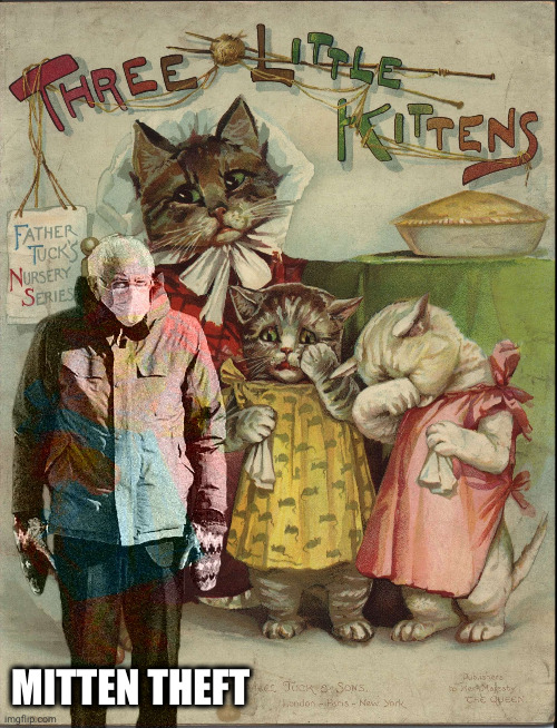 bernie mitten theft | MITTEN THEFT | image tagged in bernie mittens,sad kitten | made w/ Imgflip meme maker