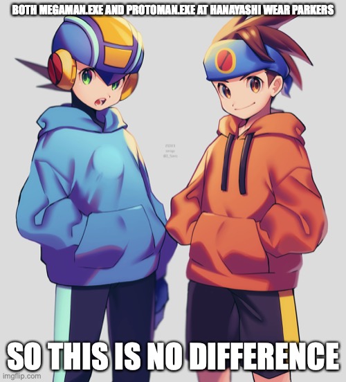 Lan and Megaman.EXE in Parkers | BOTH MEGAMAN.EXE AND PROTOMAN.EXE AT HANAYASHI WEAR PARKERS; SO THIS IS NO DIFFERENCE | image tagged in parkers,megaman battle network,memes,megaman,lan hikari | made w/ Imgflip meme maker