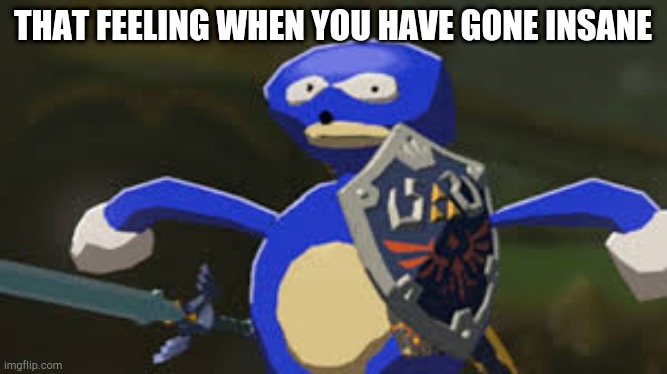Sanic BOTW | THAT FEELING WHEN YOU HAVE GONE INSANE | image tagged in sanic botw,sonic,sonic the hedgehog,botw,the legend of zelda,the legend of zelda breath of the wild | made w/ Imgflip meme maker