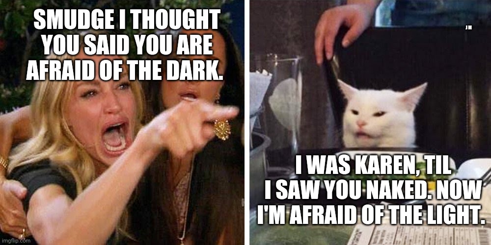 Smudge the cat | J M; SMUDGE I THOUGHT YOU SAID YOU ARE AFRAID OF THE DARK. I WAS KAREN, TIL I SAW YOU NAKED. NOW I'M AFRAID OF THE LIGHT. | image tagged in smudge the cat | made w/ Imgflip meme maker