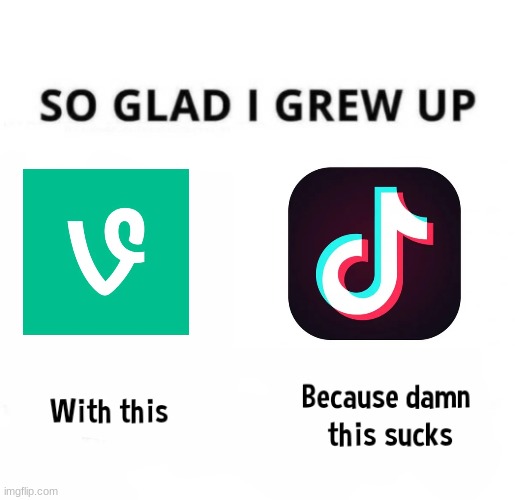 Rip Vine | image tagged in so glad i grew up with this because this damn sucks,memes,vine,tik tok sucks | made w/ Imgflip meme maker