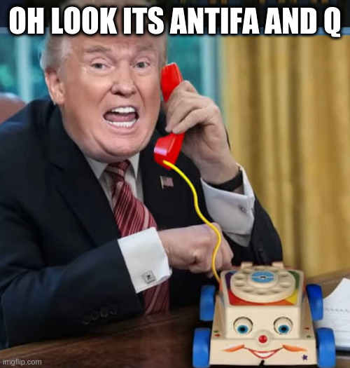 I'm the president | OH LOOK ITS ANTIFA AND Q | image tagged in i'm the president,imaginary friends,conspiracy,dumbass,rumpt | made w/ Imgflip meme maker