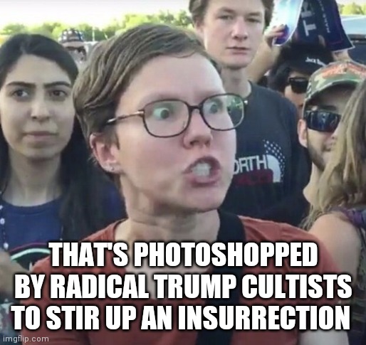 Triggered feminist | THAT'S PHOTOSHOPPED BY RADICAL TRUMP CULTISTS TO STIR UP AN INSURRECTION | image tagged in triggered feminist | made w/ Imgflip meme maker