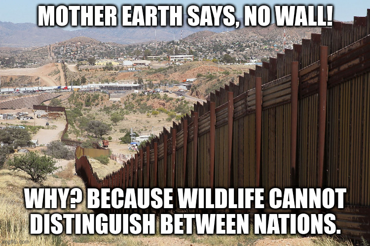 Mother Earth Speaks Out about Border Wall | MOTHER EARTH SAYS, NO WALL! WHY? BECAUSE WILDLIFE CANNOT DISTINGUISH BETWEEN NATIONS. | image tagged in border wall 02,wildlife,mother earth | made w/ Imgflip meme maker