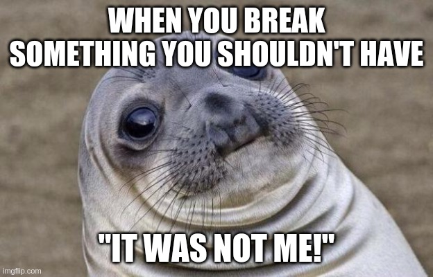 Awkward Moment Sealion | WHEN YOU BREAK SOMETHING YOU SHOULDN'T HAVE; "IT WAS NOT ME!" | image tagged in memes,awkward moment sealion | made w/ Imgflip meme maker