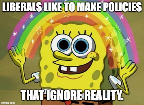 Imagination Spongebob Meme | LIBERALS LIKE TO MAKE POLICIES; THAT IGNORE REALITY. | image tagged in memes,imagination spongebob | made w/ Imgflip meme maker