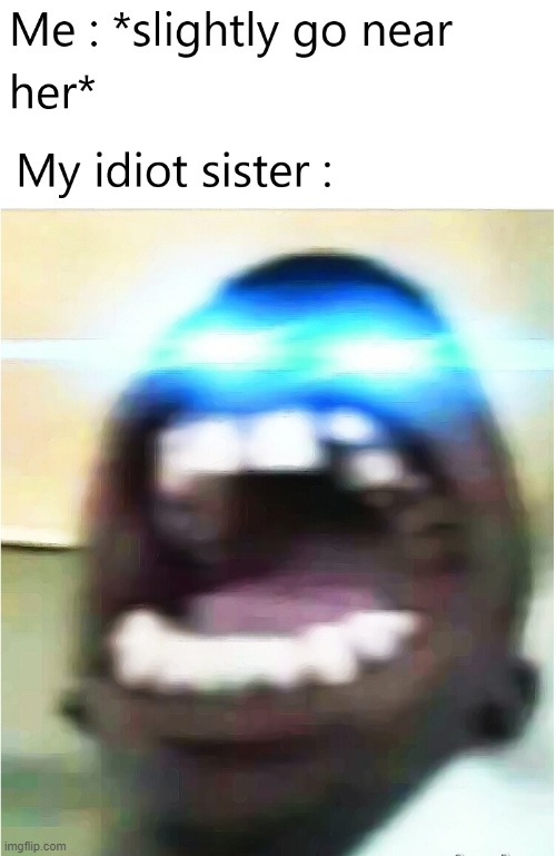 Seroisly, im done with my shitster | image tagged in idiot,sister,memes,funny memes,oh wow are you actually reading these tags | made w/ Imgflip meme maker