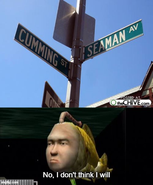 Dirty enough for NSFW? Nah, unless there are complaints | No, I don't think I will | image tagged in memes,seaman,sega,dreamcast,cumming,no i don't think i will | made w/ Imgflip meme maker