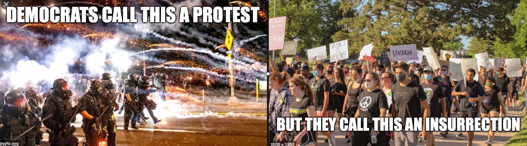 Democrat definitions | DEMOCRATS CALL THIS A PROTEST; BUT THEY CALL THIS AN INSURRECTION | image tagged in protest | made w/ Imgflip meme maker