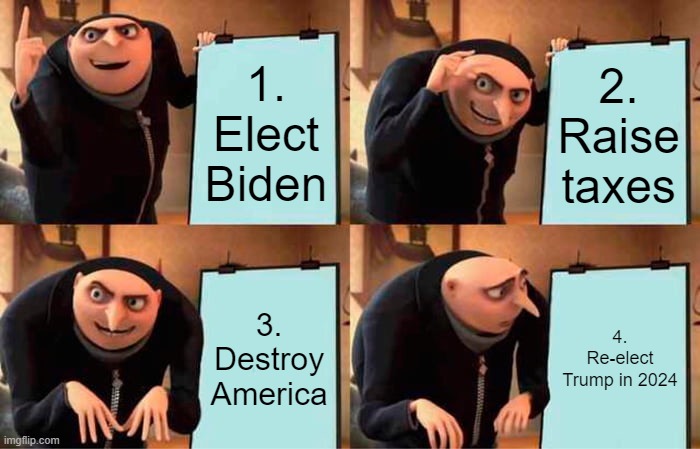 Gru's Plan Meme | 1. Elect Biden; 2. Raise taxes; 3. Destroy America; 4. Re-elect Trump in 2024 | image tagged in memes,gru's plan | made w/ Imgflip meme maker