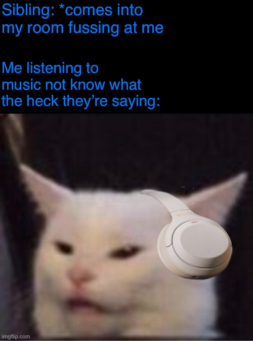 Sibling: *comes into my room fussing at me; Me listening to music not know what the heck they’re saying: | image tagged in music,siblings | made w/ Imgflip meme maker