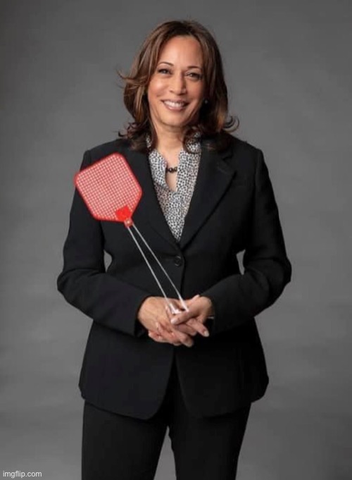 Kamala Harris flyswatter | image tagged in kamala harris flyswatter | made w/ Imgflip meme maker