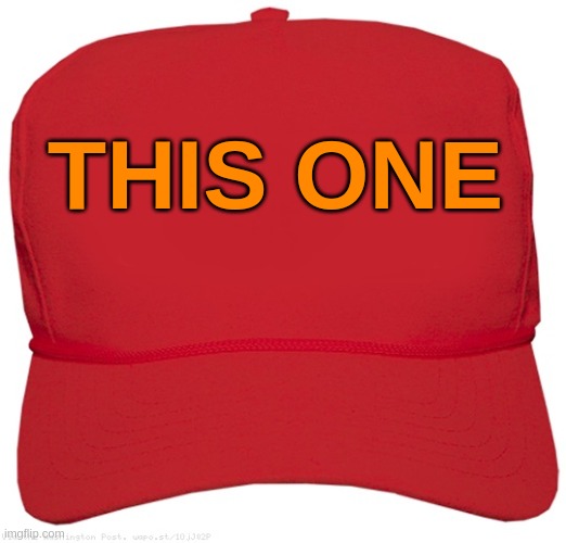 blank red MAGA hat | THIS ONE | image tagged in blank red maga hat | made w/ Imgflip meme maker