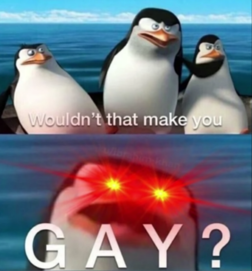why are you gay meme format