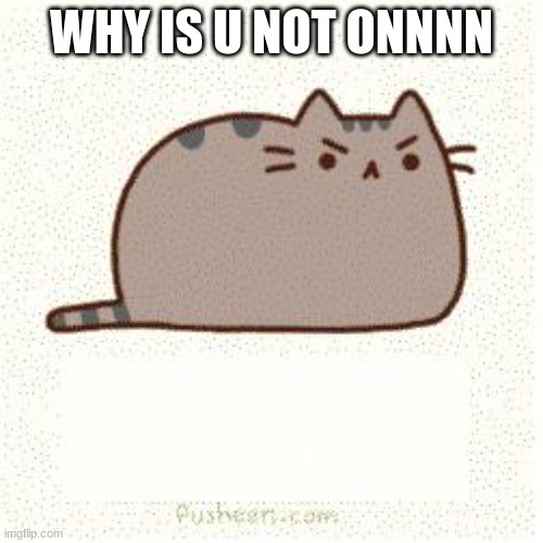 whyyyy | WHY IS U NOT ONNNN | image tagged in pusheen angry | made w/ Imgflip meme maker