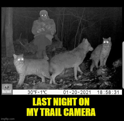 Trail Camera |  LAST NIGHT ON MY TRAIL CAMERA | image tagged in bernie sanders,bernie and mittens,trail camera | made w/ Imgflip meme maker