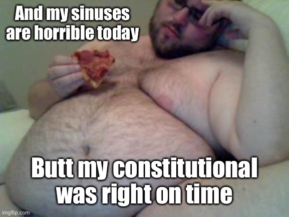 fat man | And my sinuses are horrible today Butt my constitutional was right on time | image tagged in fat man | made w/ Imgflip meme maker