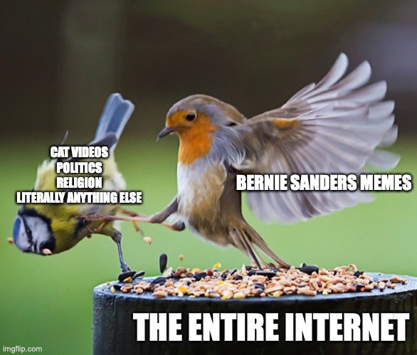Bernie memes | CAT VIDEOS
POLITICS
RELIGION
LITERALLY ANYTHING ELSE; BERNIE SANDERS MEMES; THE ENTIRE INTERNET | image tagged in bird kick | made w/ Imgflip meme maker