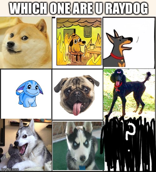 Which one is raydog | WHICH ONE ARE U RAYDOG | image tagged in which one are you | made w/ Imgflip meme maker