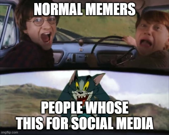 Example: me |  NORMAL MEMERS; PEOPLE WHOSE THIS FOR SOCIAL MEDIA | image tagged in hogwarts tom | made w/ Imgflip meme maker