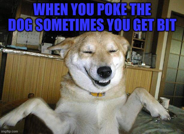 WHEN YOU POKE THE DOG SOMETIMES YOU GET BIT | made w/ Imgflip meme maker
