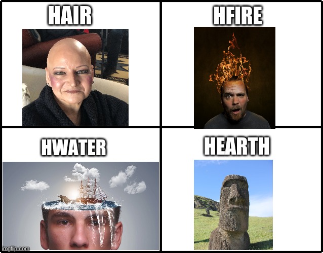 H | HFIRE; HAIR; HEARTH; HWATER | image tagged in funny,funny memes,lol,clever | made w/ Imgflip meme maker