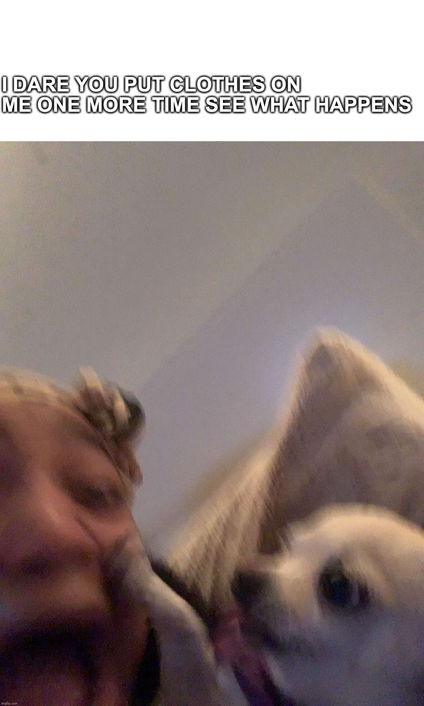 dog attack Imgflip