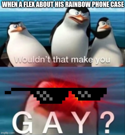 im gay meme original video
