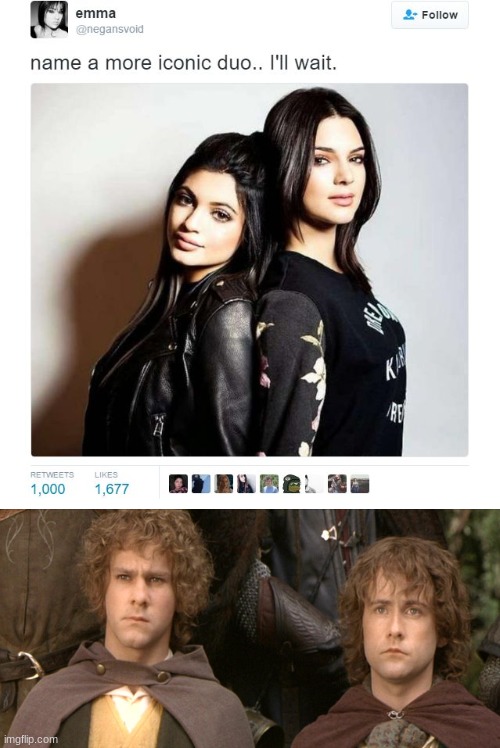 Name a More Iconic Duo | image tagged in name a more iconic duo,lord of the rings,merry and pippin,memes,funny | made w/ Imgflip meme maker