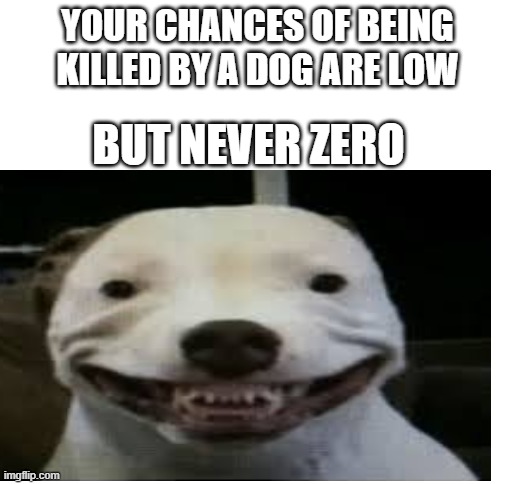 cursed dog | YOUR CHANCES OF BEING KILLED BY A DOG ARE LOW; BUT NEVER ZERO | image tagged in blank white template | made w/ Imgflip meme maker