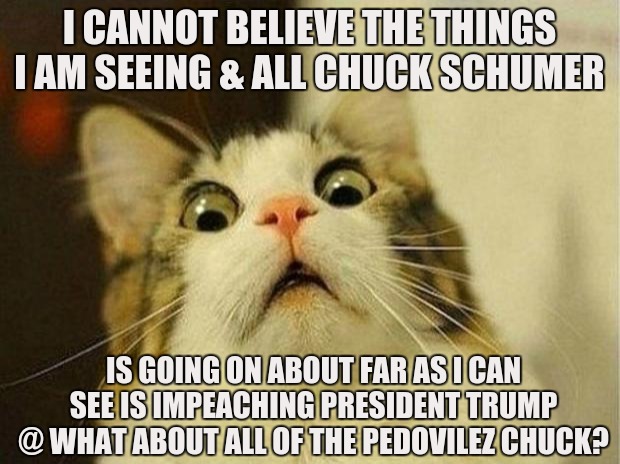 Scared Cat | I CANNOT BELIEVE THE THINGS I AM SEEING & ALL CHUCK SCHUMER; IS GOING ON ABOUT FAR AS I CAN SEE IS IMPEACHING PRESIDENT TRUMP @ WHAT ABOUT ALL OF THE PEDOVILEZ CHUCK? | image tagged in scared cat,chuck schumer,adam schiff,what about all of the,pedophiles,chucky | made w/ Imgflip meme maker