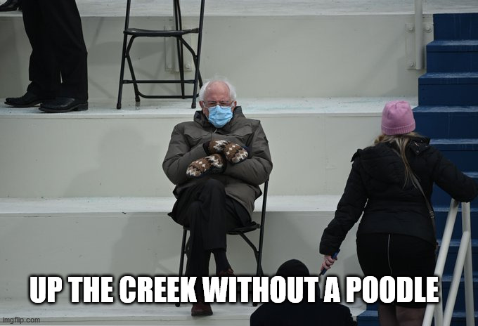 Bernie sitting | UP THE CREEK WITHOUT A POODLE | image tagged in bernie sitting | made w/ Imgflip meme maker